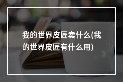 我的世界皮匠卖什么(我的世界皮匠有什么用)