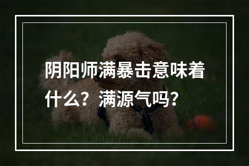 阴阳师满暴击意味着什么？满源气吗？