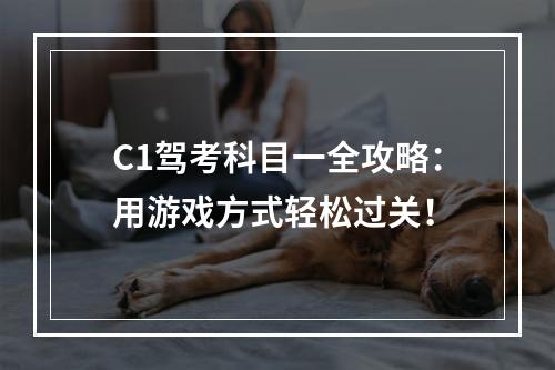 C1驾考科目一全攻略：用游戏方式轻松过关！