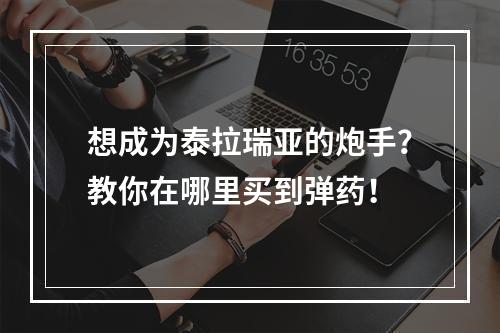 想成为泰拉瑞亚的炮手？教你在哪里买到弹药！