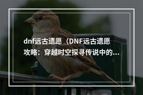 dnf远古遗愿（DNF远古遗愿攻略：穿越时空探寻传说中的神器）