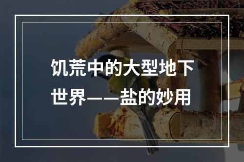 饥荒中的大型地下世界——盐的妙用