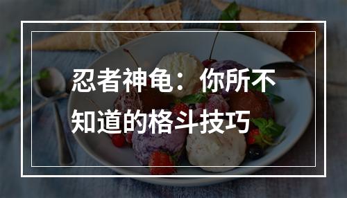 忍者神龟：你所不知道的格斗技巧