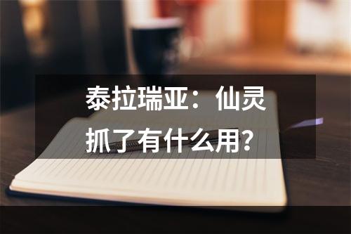 泰拉瑞亚：仙灵抓了有什么用？