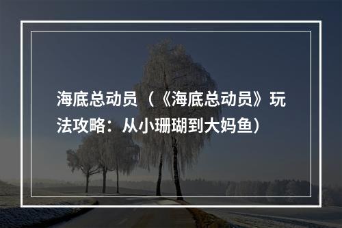 海底总动员（《海底总动员》玩法攻略：从小珊瑚到大妈鱼）