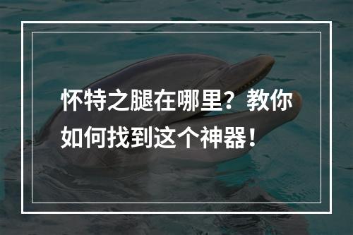 怀特之腿在哪里？教你如何找到这个神器！