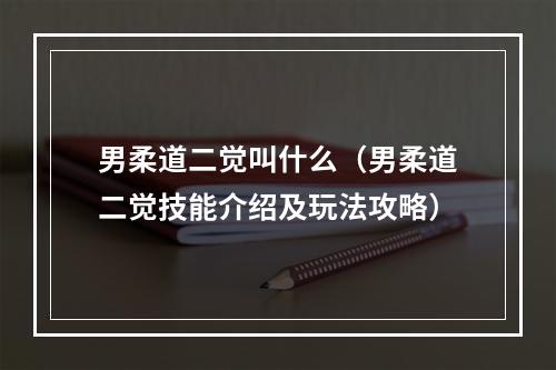 男柔道二觉叫什么（男柔道二觉技能介绍及玩法攻略）