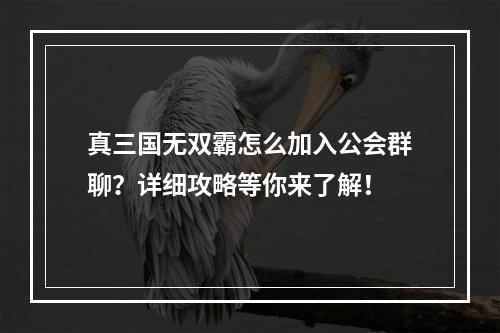 真三国无双霸怎么加入公会群聊？详细攻略等你来了解！