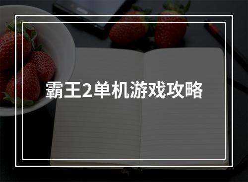 霸王2单机游戏攻略