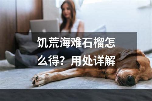 饥荒海难石榴怎么得？用处详解