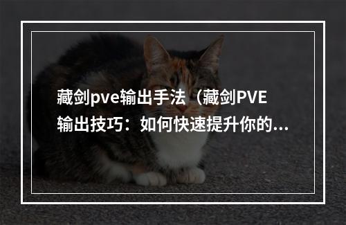 藏剑pve输出手法（藏剑PVE输出技巧：如何快速提升你的战斗力）