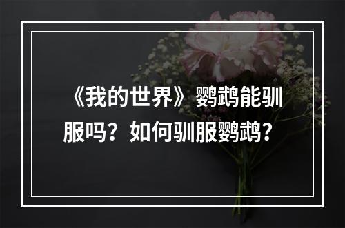 《我的世界》鹦鹉能驯服吗？如何驯服鹦鹉？