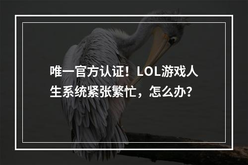 唯一官方认证！LOL游戏人生系统紧张繁忙，怎么办？