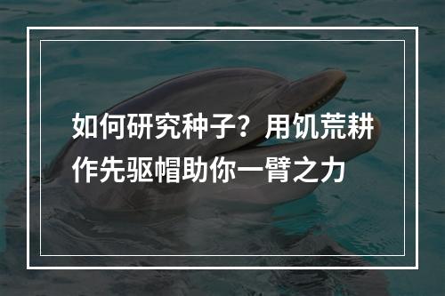 如何研究种子？用饥荒耕作先驱帽助你一臂之力