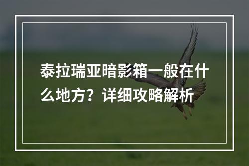 泰拉瑞亚暗影箱一般在什么地方？详细攻略解析