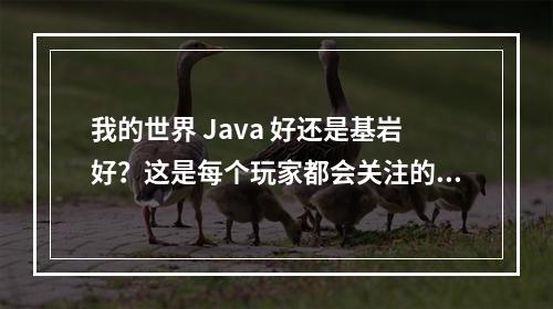 我的世界 Java 好还是基岩好？这是每个玩家都会关注的问题。作为一个 Minecraft 爱好者，我深入探讨了这两