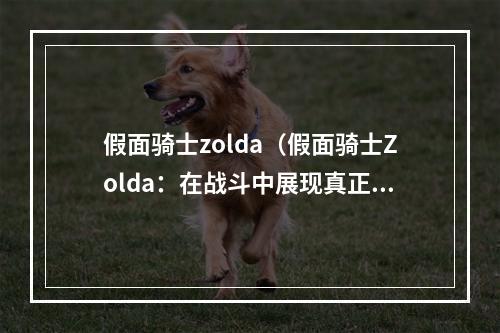 假面骑士zolda（假面骑士Zolda：在战斗中展现真正的实力）