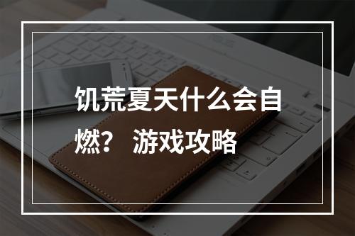 饥荒夏天什么会自燃？ 游戏攻略