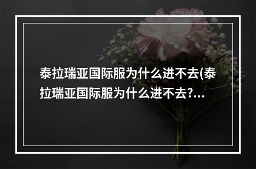 泰拉瑞亚国际服为什么进不去(泰拉瑞亚国际服为什么进不去?)