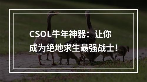 CSOL牛年神器：让你成为绝地求生最强战士！