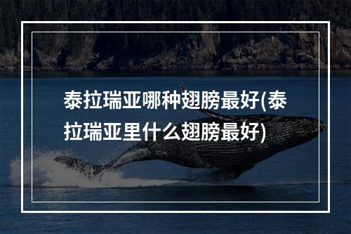 泰拉瑞亚哪种翅膀最好(泰拉瑞亚里什么翅膀最好)