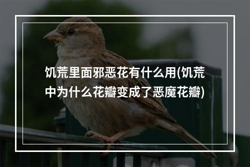 饥荒里面邪恶花有什么用(饥荒中为什么花瓣变成了恶魔花瓣)