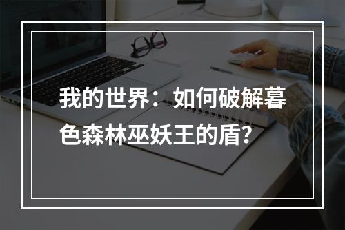 我的世界：如何破解暮色森林巫妖王的盾？