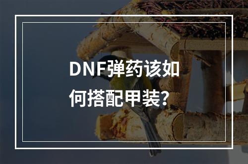 DNF弹药该如何搭配甲装？