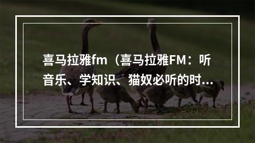 喜马拉雅fm（喜马拉雅FM：听音乐、学知识、猫奴必听的时光）