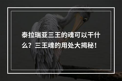 泰拉瑞亚三王的魂可以干什么？三王魂的用处大揭秘！