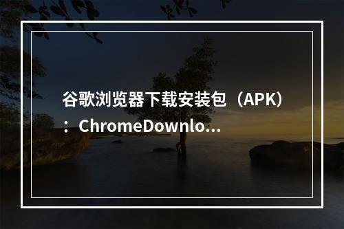 谷歌浏览器下载安装包（APK）：ChromeDownloadAPK