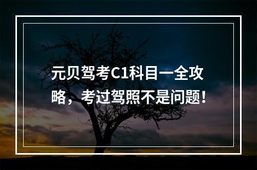 元贝驾考C1科目一全攻略，考过驾照不是问题！