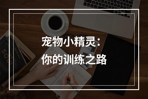 宠物小精灵：你的训练之路