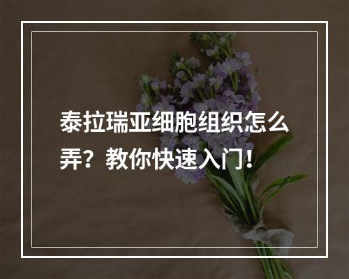 泰拉瑞亚细胞组织怎么弄？教你快速入门！