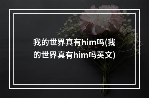 我的世界真有him吗(我的世界真有him吗英文)