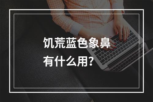 饥荒蓝色象鼻有什么用？