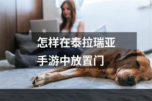 怎样在泰拉瑞亚手游中放置门