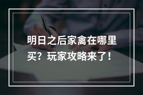 明日之后家禽在哪里买？玩家攻略来了！