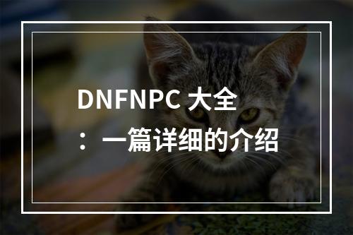 DNFNPC 大全：一篇详细的介绍