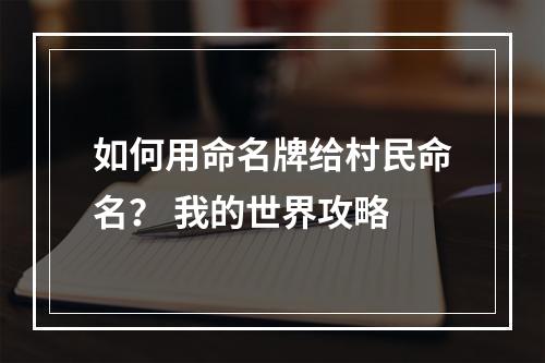 如何用命名牌给村民命名？ 我的世界攻略