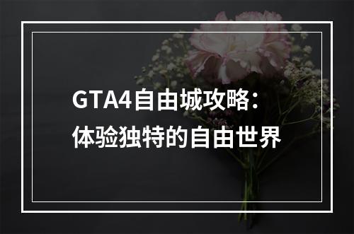 GTA4自由城攻略：体验独特的自由世界