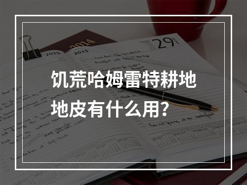 饥荒哈姆雷特耕地地皮有什么用？