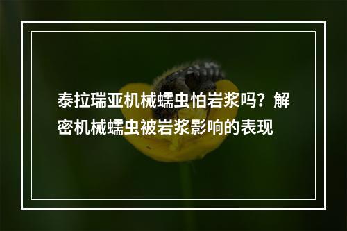 泰拉瑞亚机械蠕虫怕岩浆吗？解密机械蠕虫被岩浆影响的表现