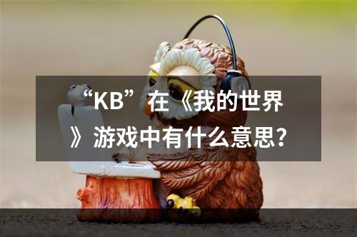 “KB”在《我的世界》游戏中有什么意思？