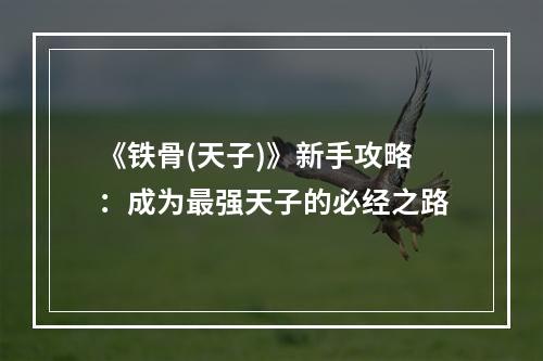 《铁骨(天子)》新手攻略：成为最强天子的必经之路