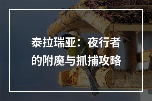 泰拉瑞亚：夜行者的附魔与抓捕攻略