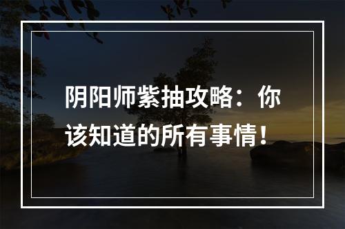 阴阳师紫抽攻略：你该知道的所有事情！