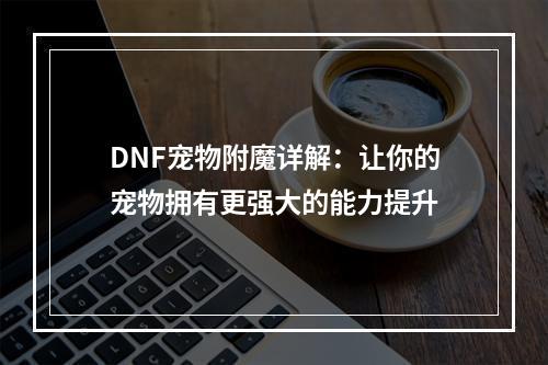 DNF宠物附魔详解：让你的宠物拥有更强大的能力提升