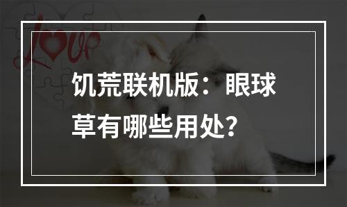 饥荒联机版：眼球草有哪些用处？