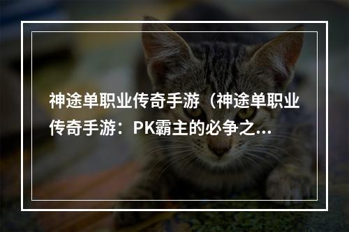 神途单职业传奇手游（神途单职业传奇手游：PK霸主的必争之地）